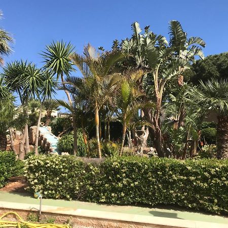 Ferienwohnung Le Palme Tropicali San Vito Lo Capo Exterior foto